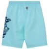 LEGO® NINJAGO® Swim Shorts – LWAGAN 306 -LEGO®