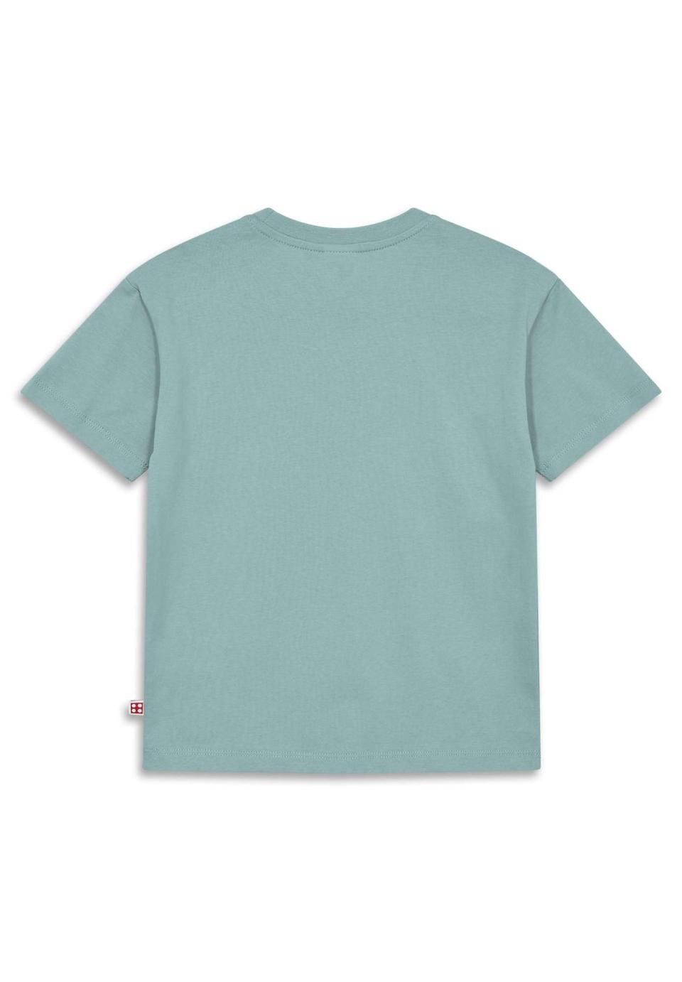 LEGO® NINJAGO® T-Shirt S/S - LWTAJ 302 -LEGO® NINJAGO®