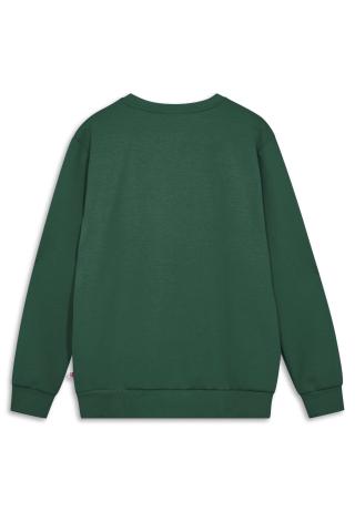 LEGO® Sweatshirt - LWSATO 200