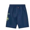 LEGO® NINJAGO® Swim Shorts - LWAGAN 306 -LEGO® NINJAGO®