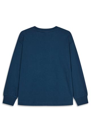 LEGO® long-sleeved T-shirt LWTAJ 719