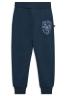 LEGO® NINJAGO® Sweatpants - LWPINO 303 - Dark Navy